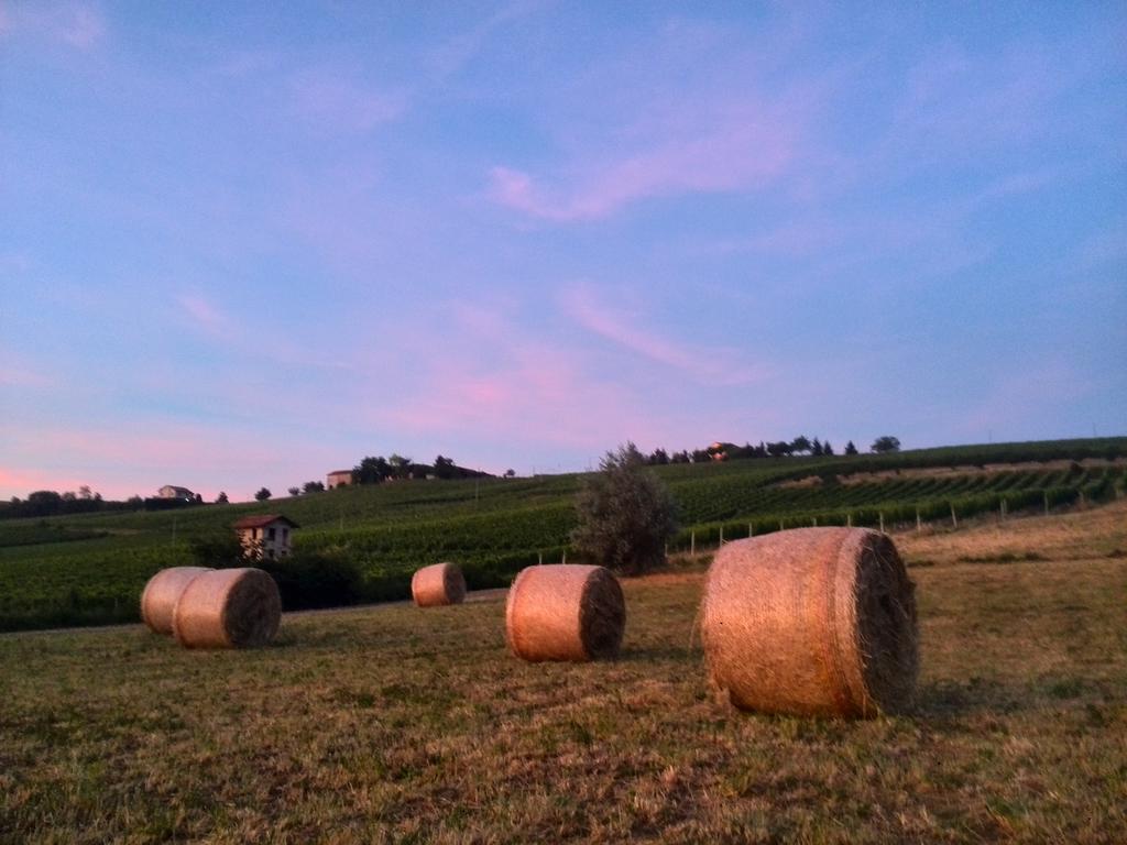 I Boidi Lejlighed Nizza Monferrato Eksteriør billede