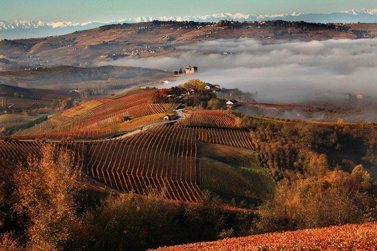 I Boidi Lejlighed Nizza Monferrato Eksteriør billede
