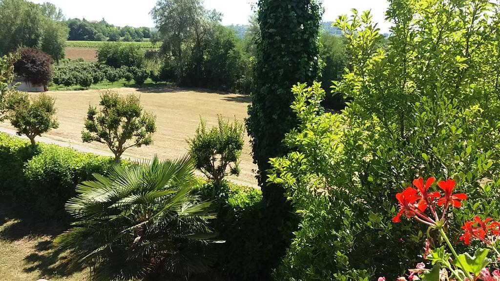I Boidi Lejlighed Nizza Monferrato Eksteriør billede